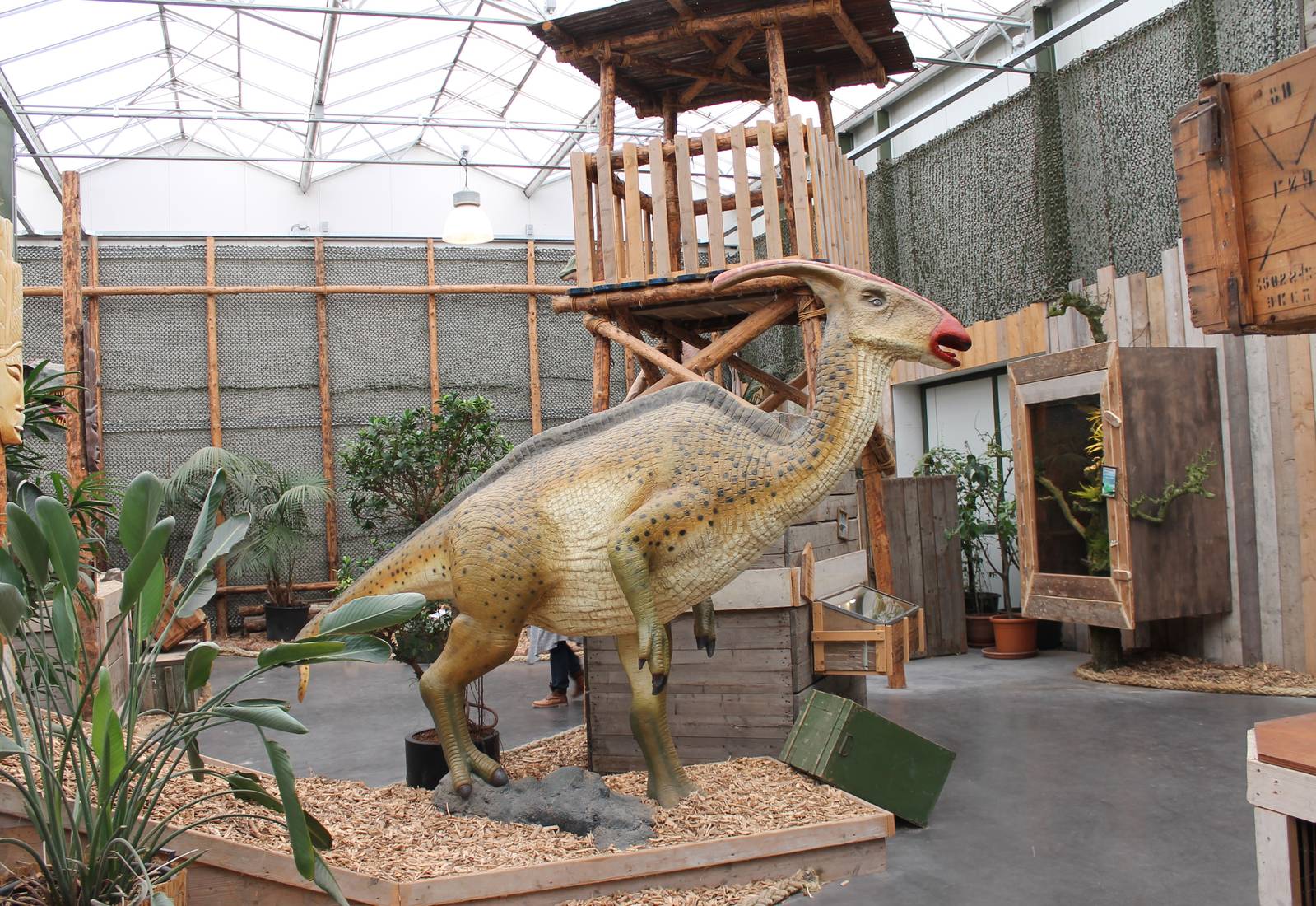 View in the Dino-hall