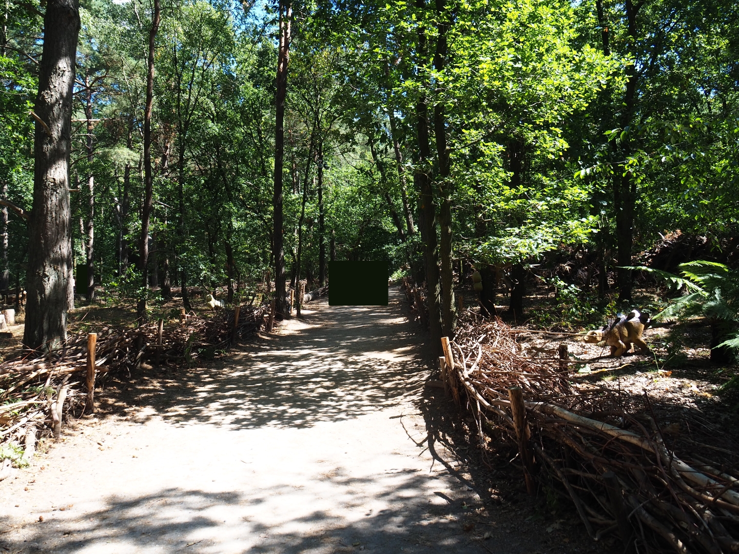 View in the dinosaur forest area