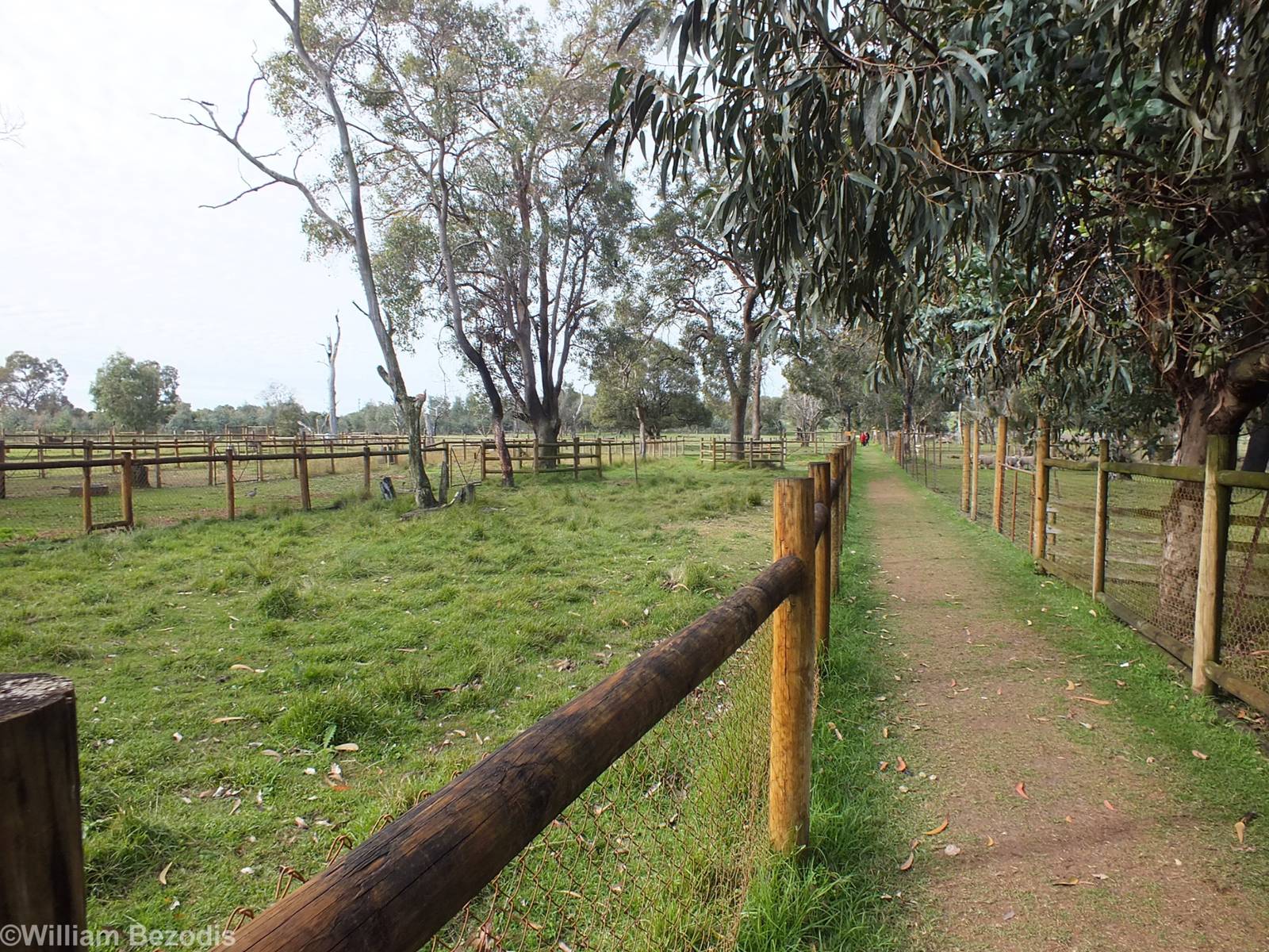 View in the Domestics Area - Caversham Wildlife Park