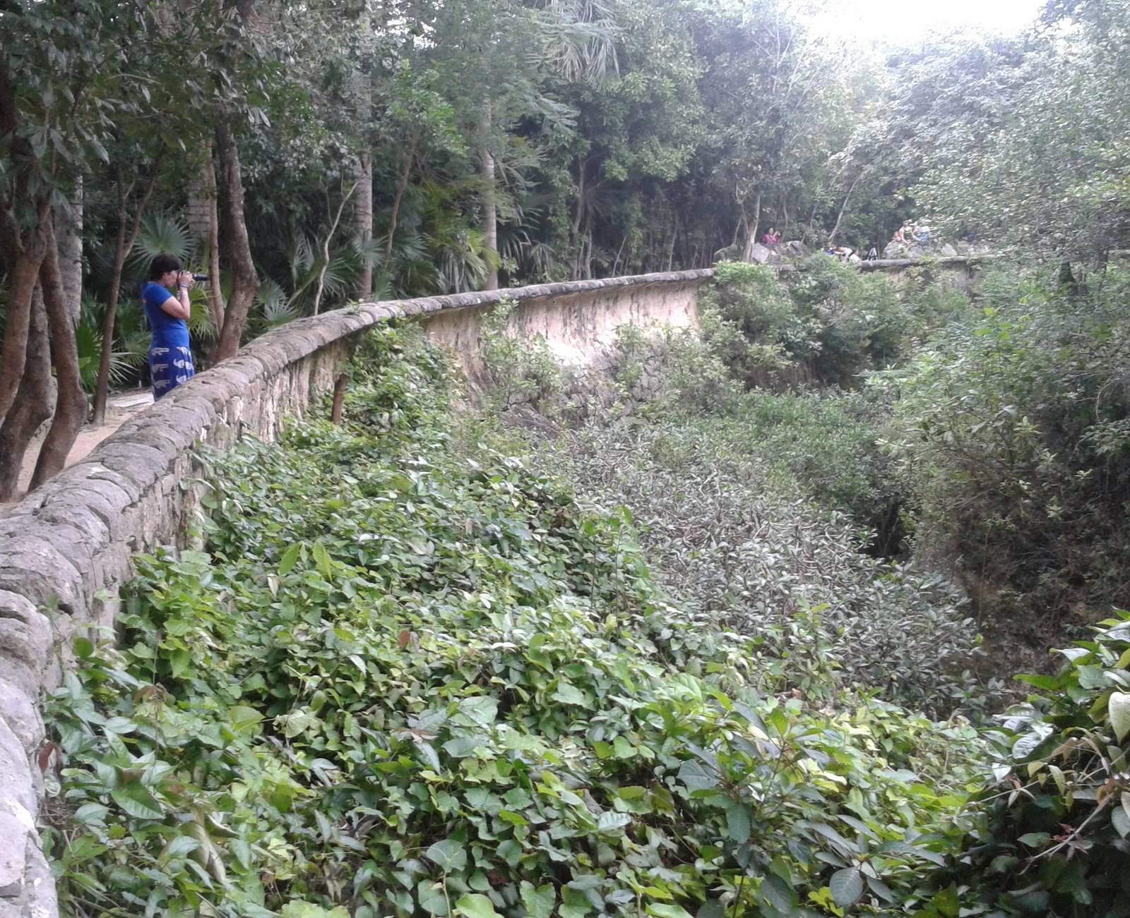 View in the dry moat of the jauar enclosure