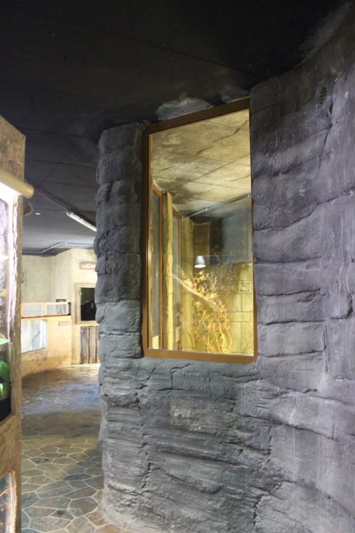 View in the "Dschungel"