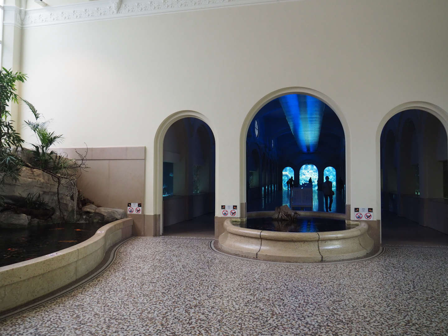 View in the entrance hall of the aquarium, 2020-06-28
