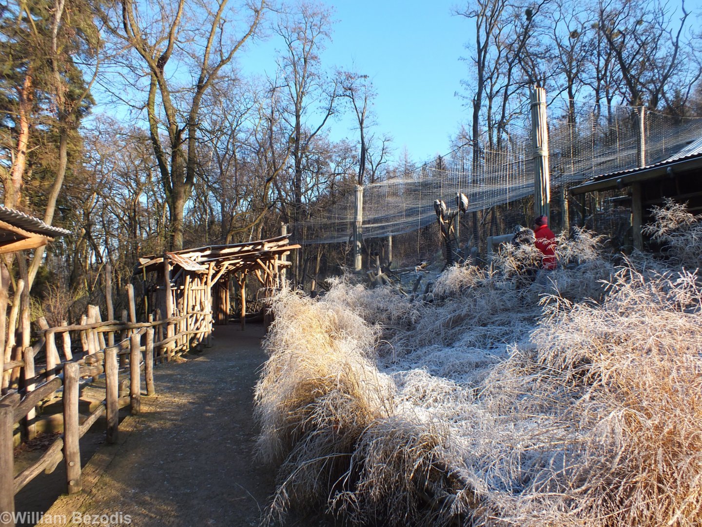 View in the Ethiopia Section