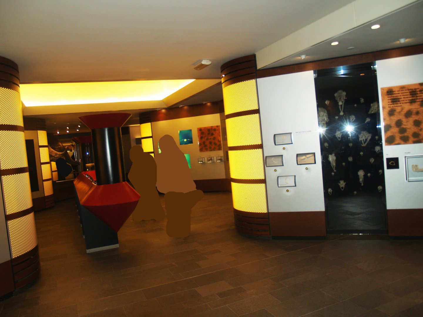 View in the exhibition section of the Biochron, 2008-03-01