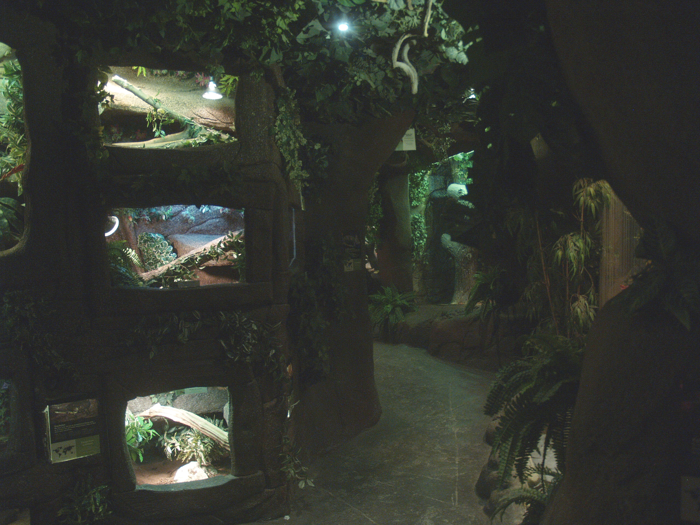 View in the facility, 2014-02-16