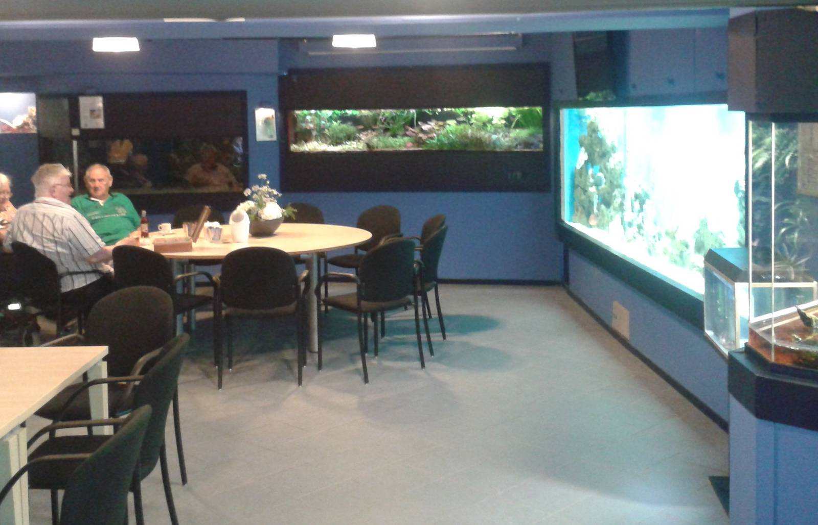 View in the first part of Aqua Zoo