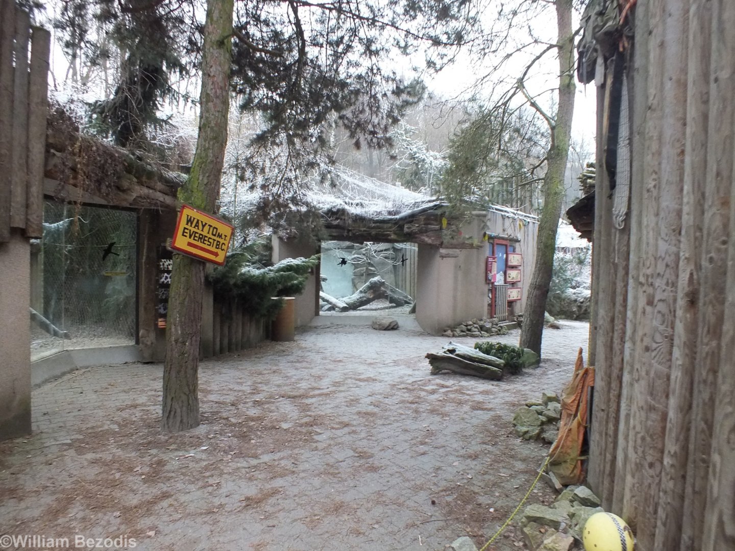 View in the Himalayas Section