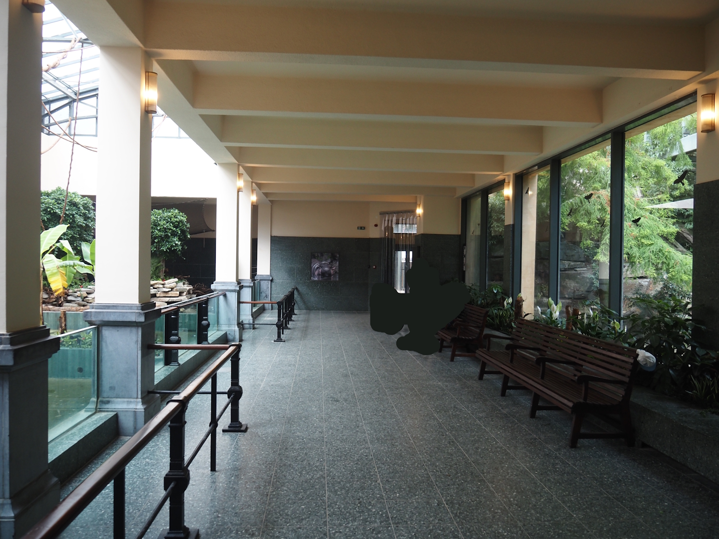 View in the Hippo House, now viewing area for pygmy hippo indoor exhibits (formerly home to common hippos), 2025-07-21