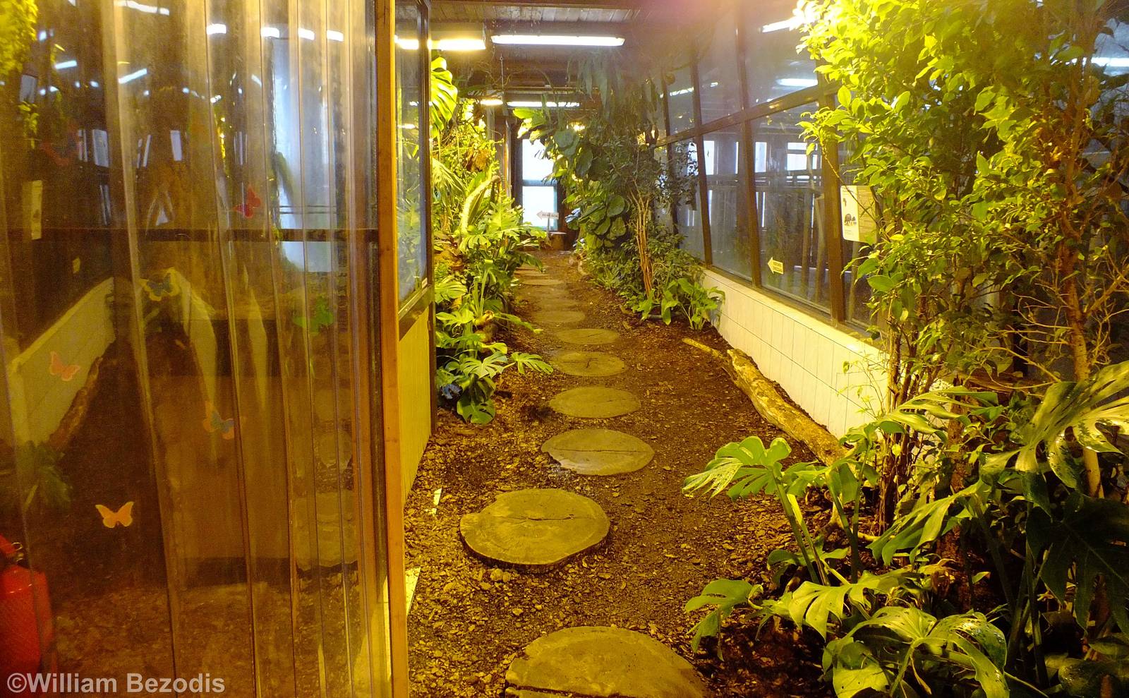 View in the Hippo House