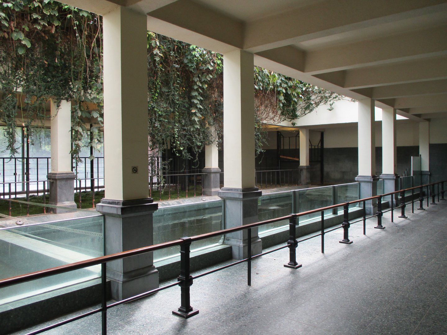 View in the hippopotamus building