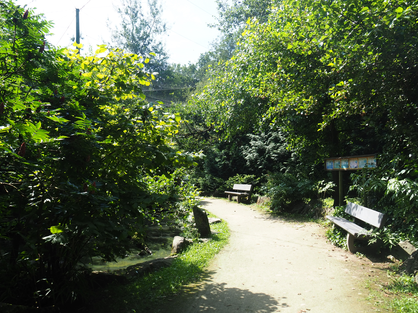 View in the large walk-through aviary, 2019-08-04