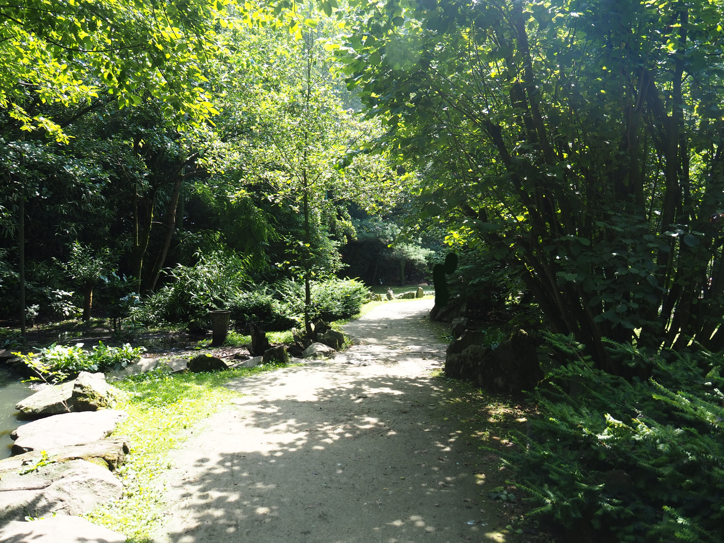 View in the large walk-through aviary, 2019-08-04