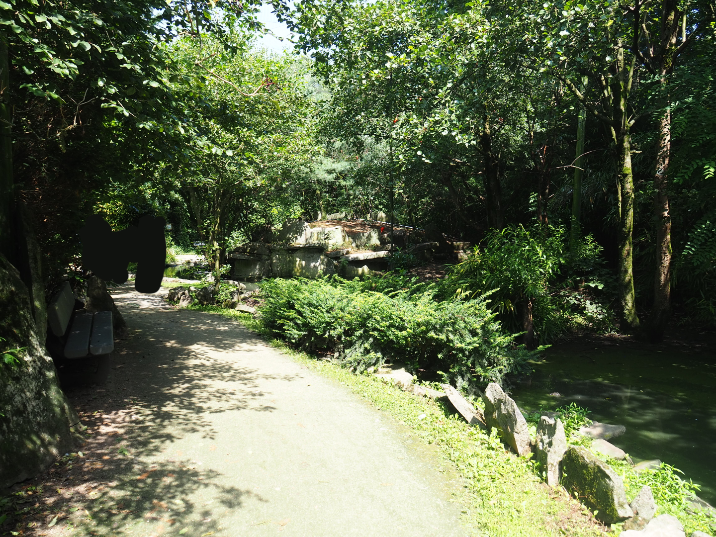 View in the large walk-through aviary, 2019-08-04