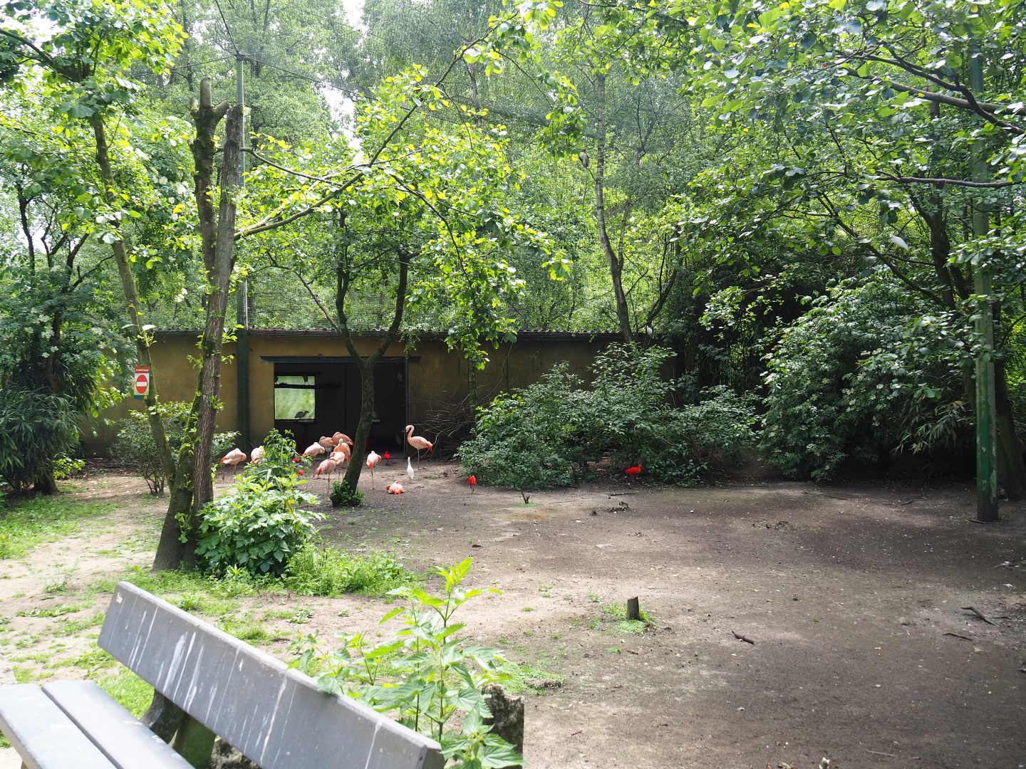 View in the large walk-through aviary, 2021-06-15