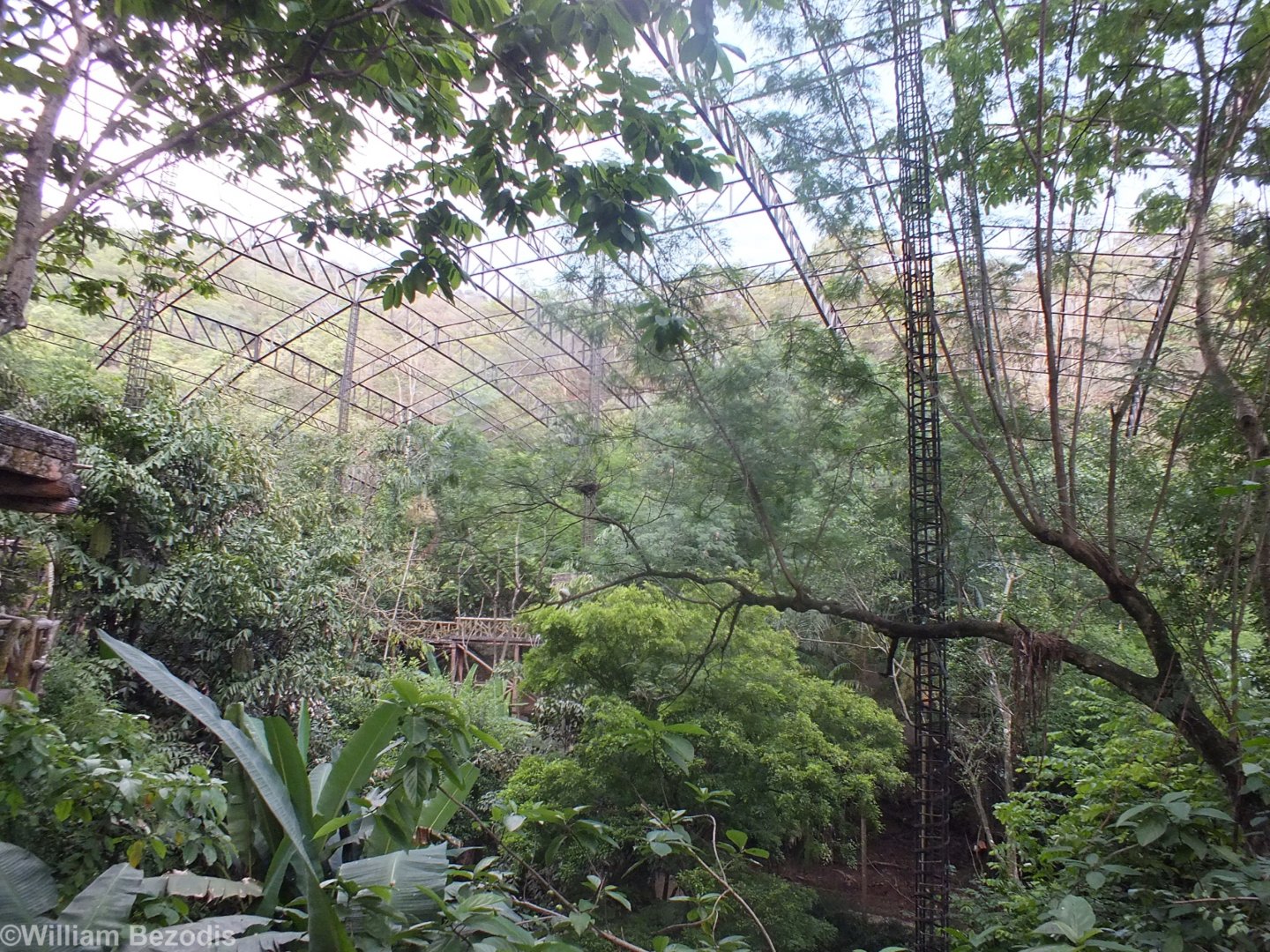 View in the Large Walkthrough Aviary