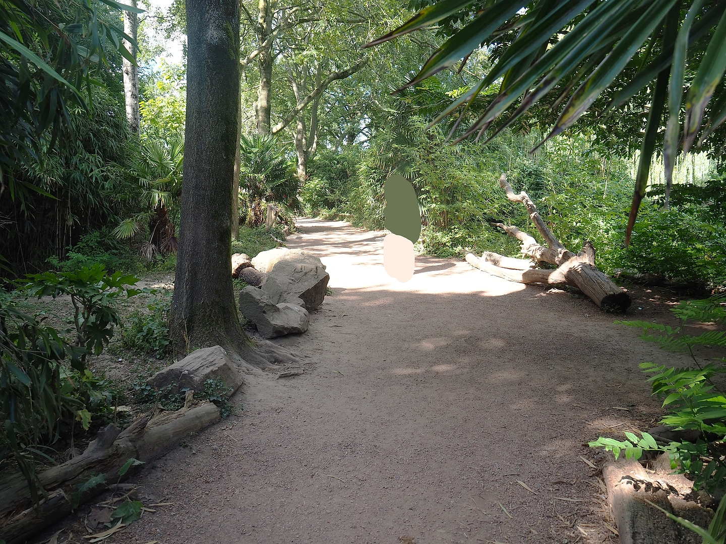 View in the lemur walk-through area, 2022-08-28