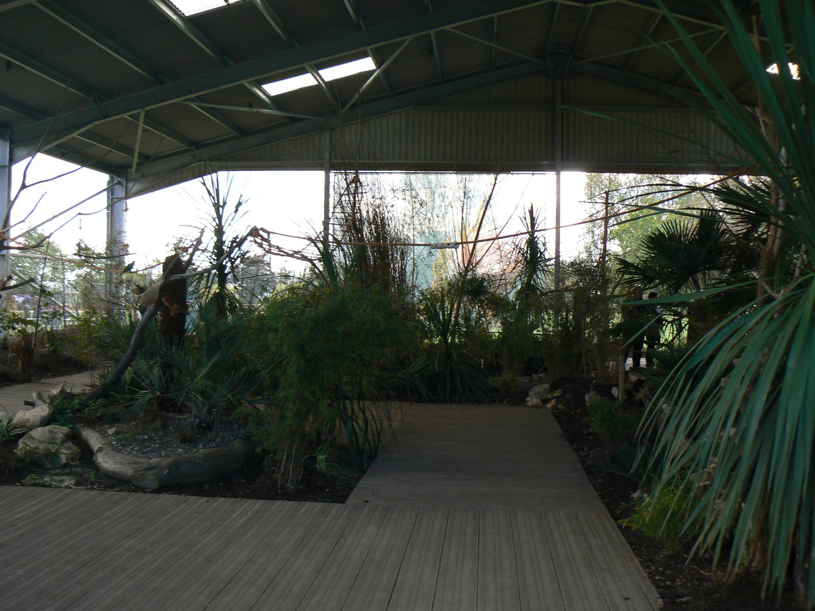 View In The Lorikeet Enclosure- 17 October 2015