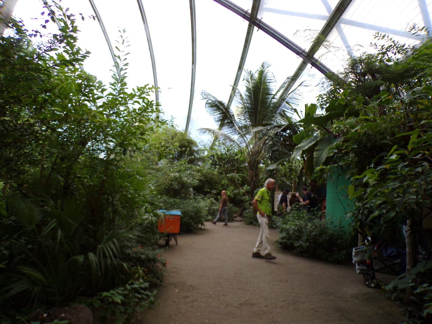 View in the Mangrove 6.7.23