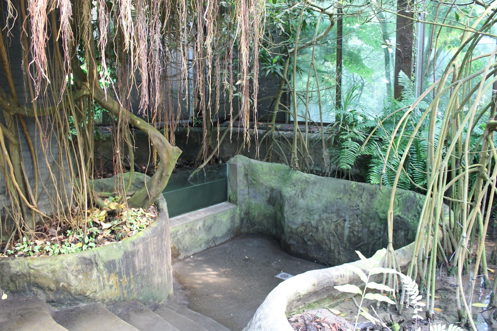 View in the Mangrove-hall
