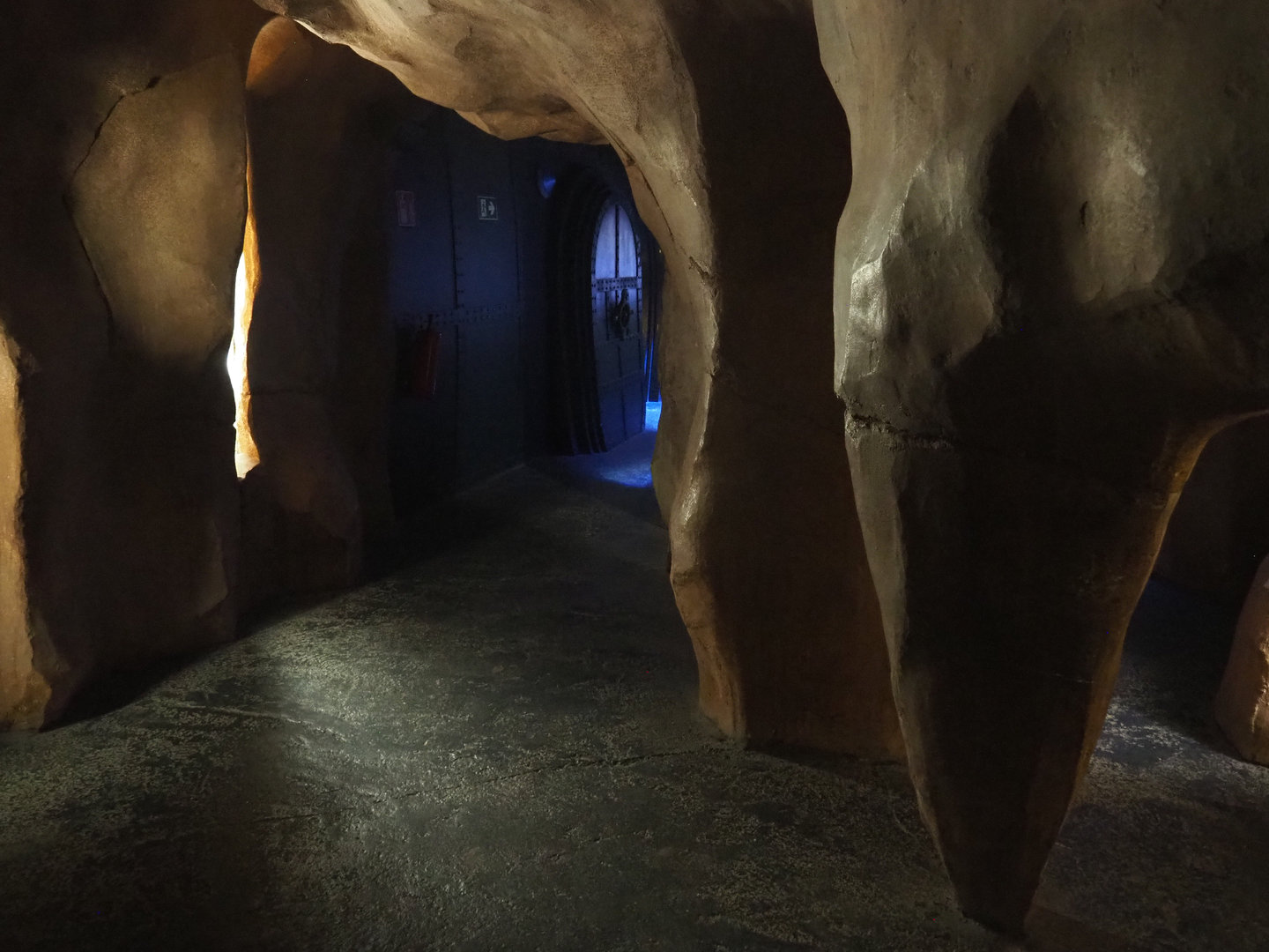 View in the Nautilus aquarium, 2022-09-14