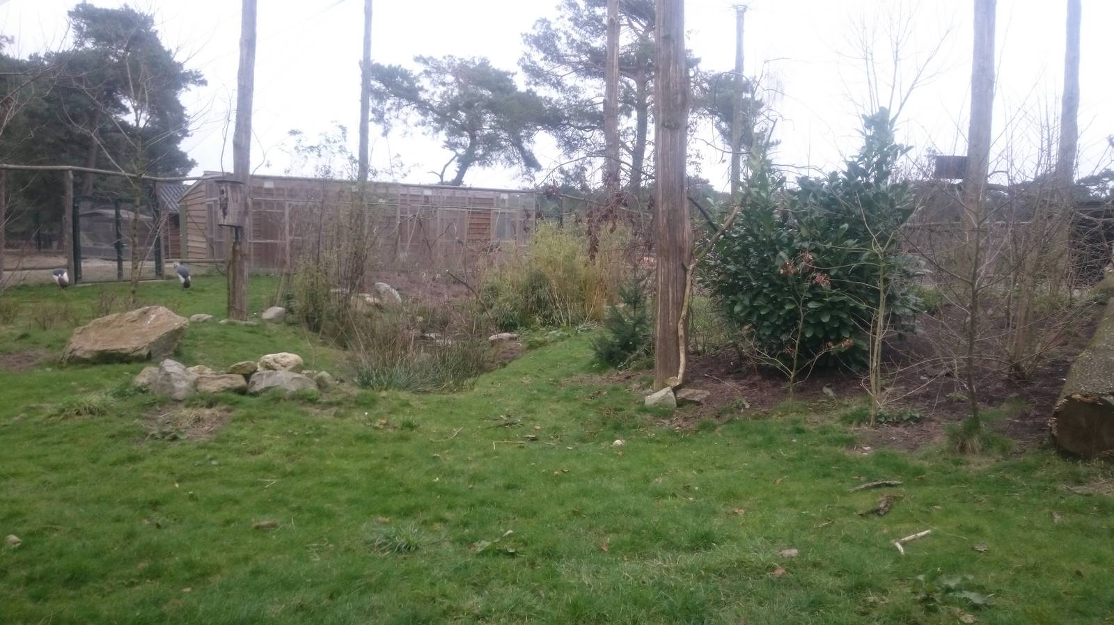 View in the new aviary