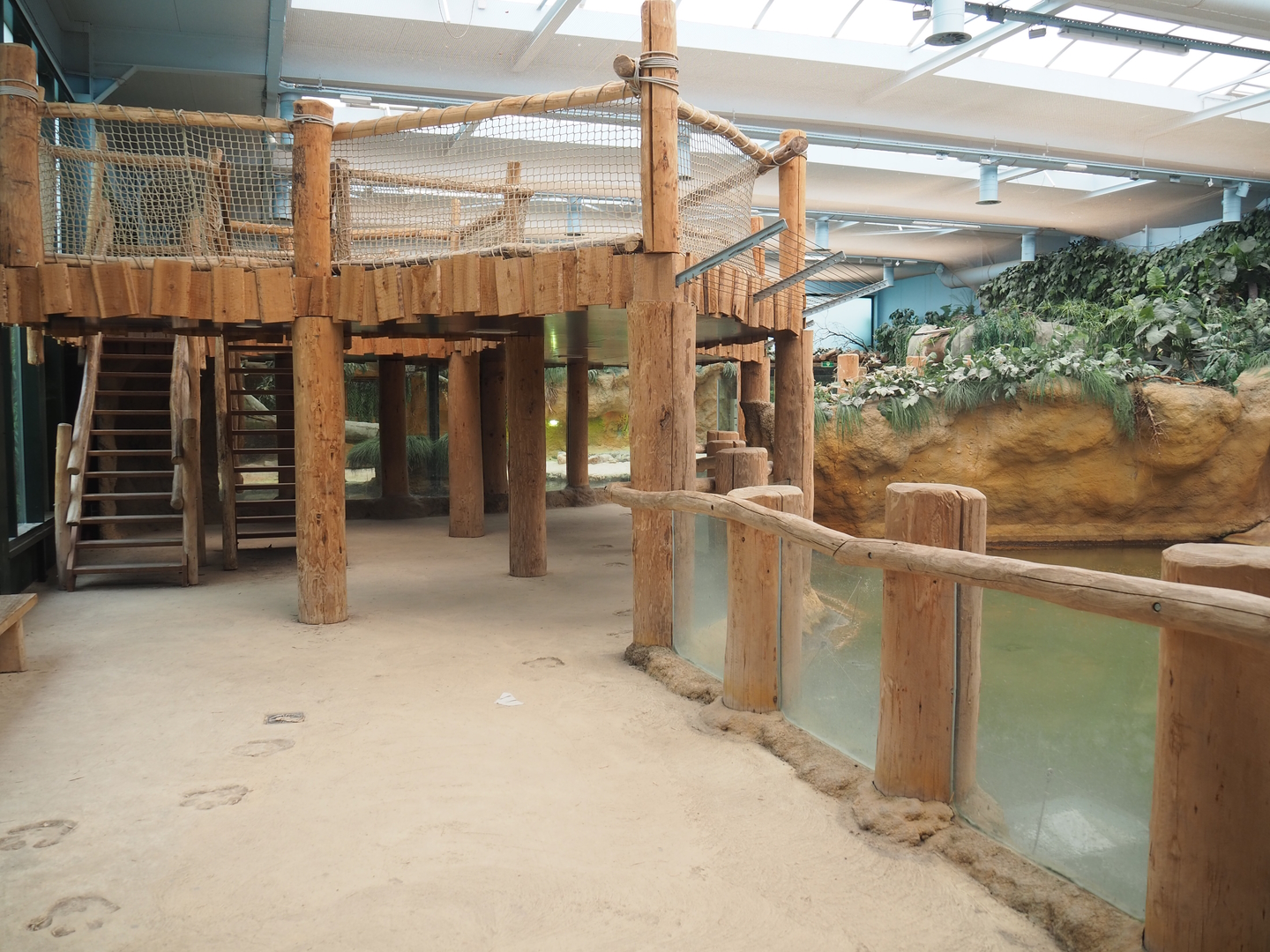 View in the Nile crocodile/Hippopotamus house,  2022-06-12