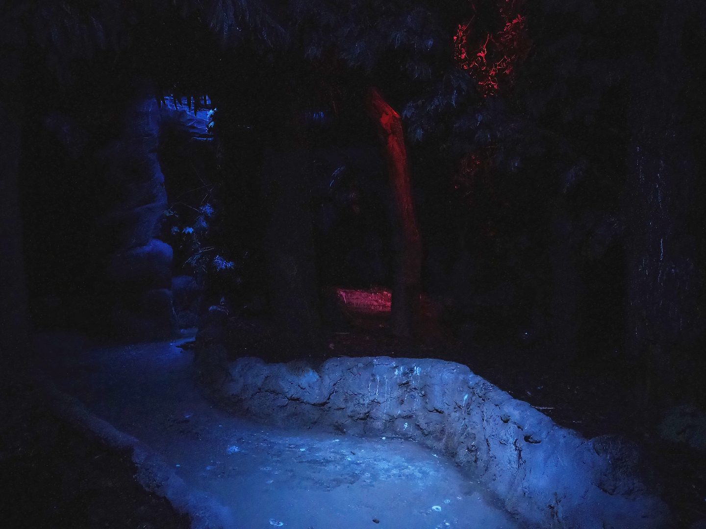 View in the Nocturnal bird safari, 2022-08-28