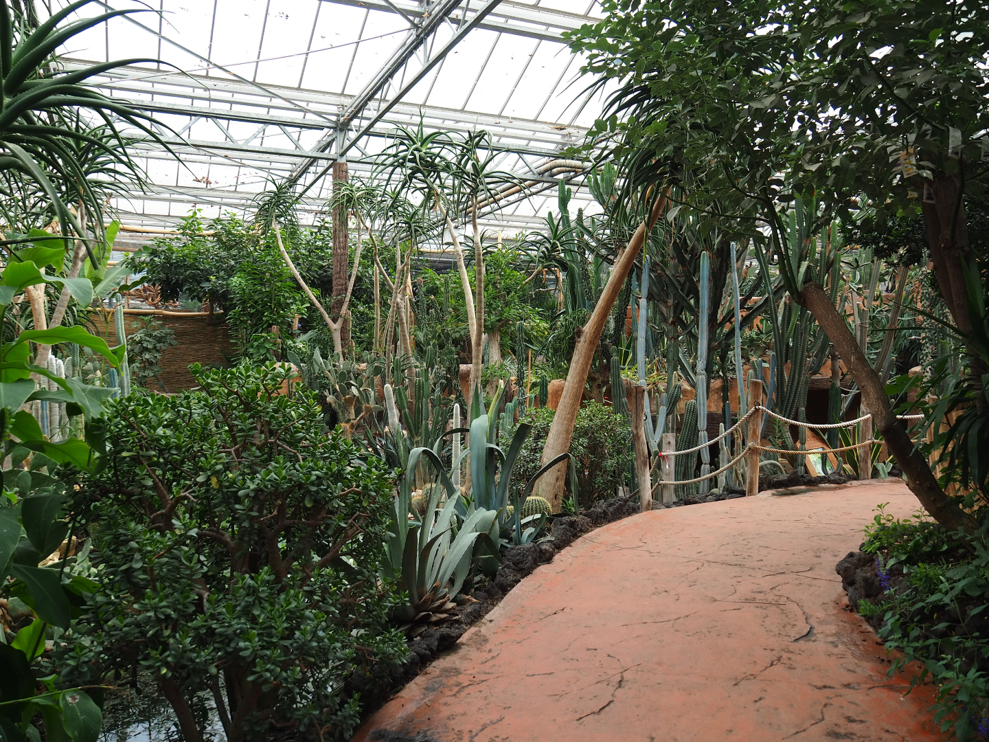 View in the Oasis, 2019-10-05