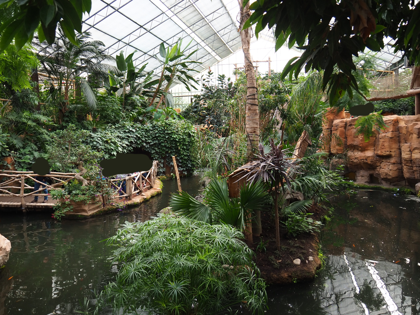 View in the Oasis, 2019-10-05