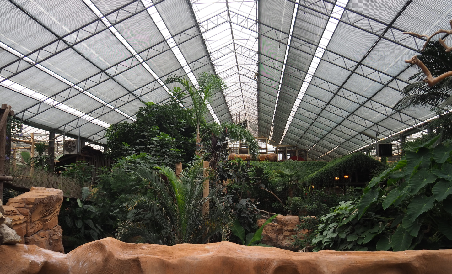 View in the Oasis, 2020-09-03