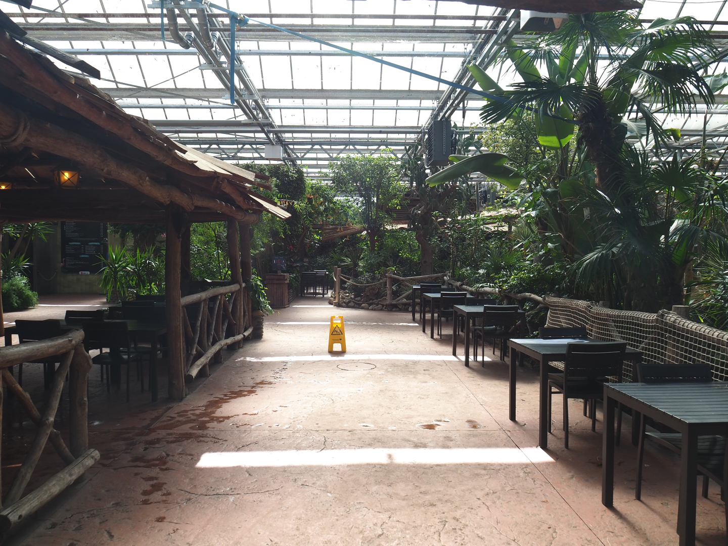 View in the Oasis, 2022-06-28