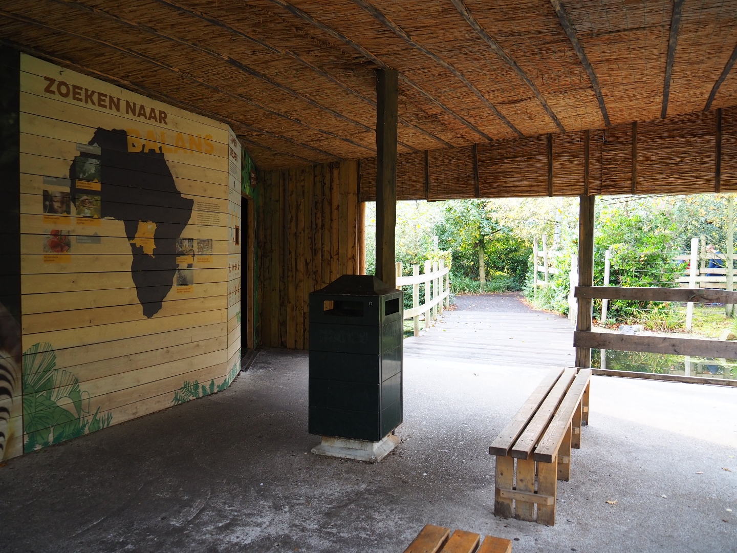 View in the okapi viewing shelter (Nov 10th, 2018)