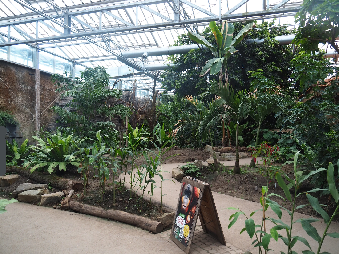 View in the orangutan greenhouse, 2022-07-16