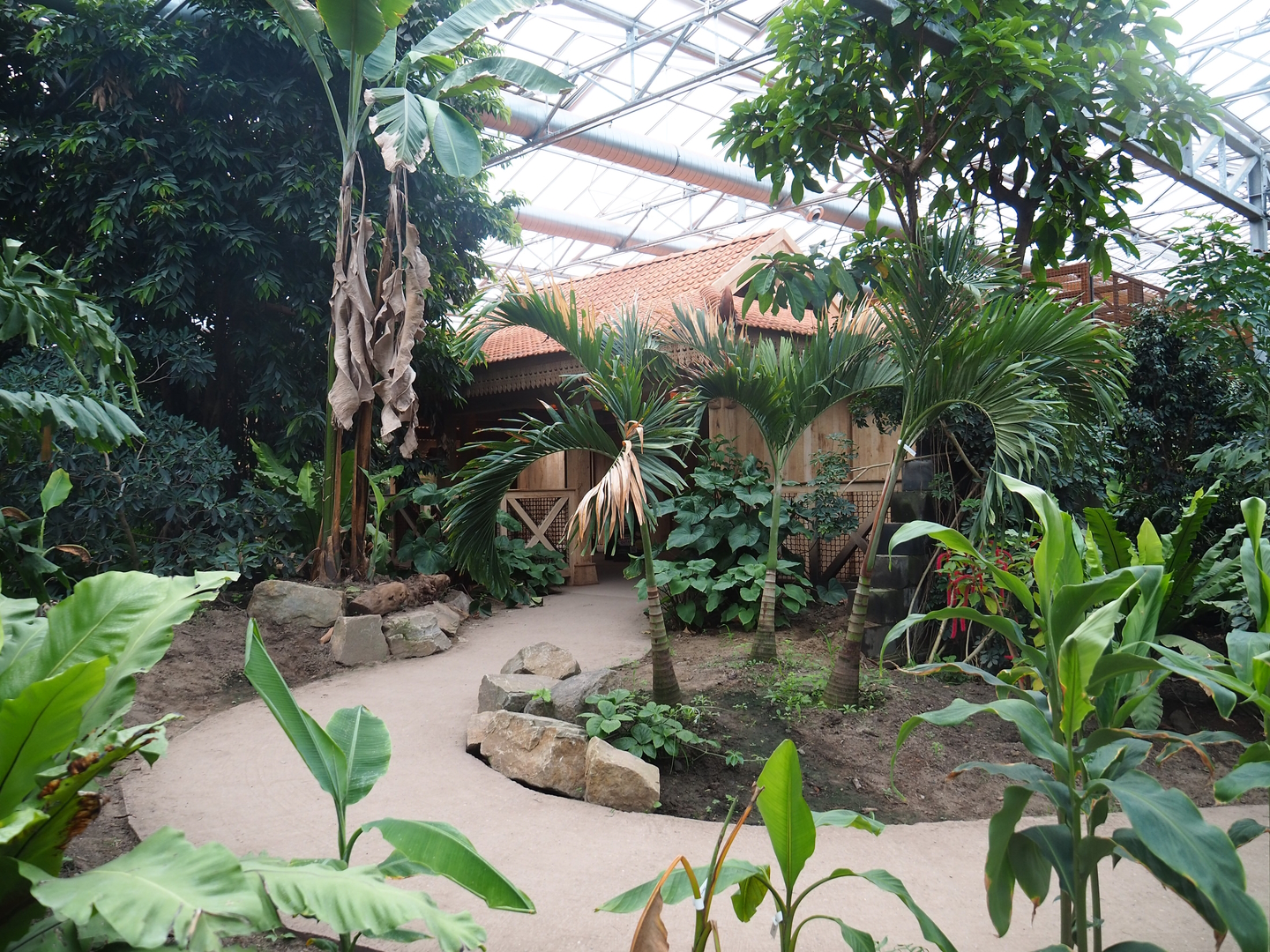 View in the orangutan greenhouse, 2022-07-16