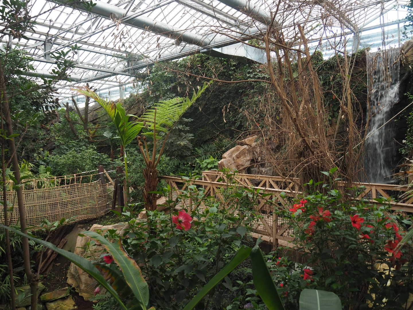View in the orangutan greenhouse, 2022-07-16