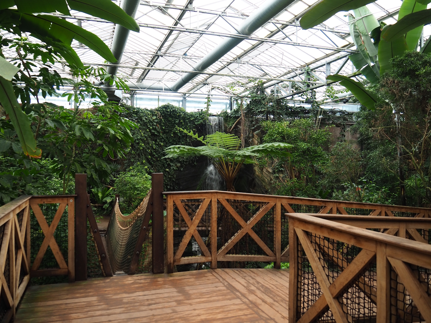 View in the orangutan greenhouse, 2024-03-04