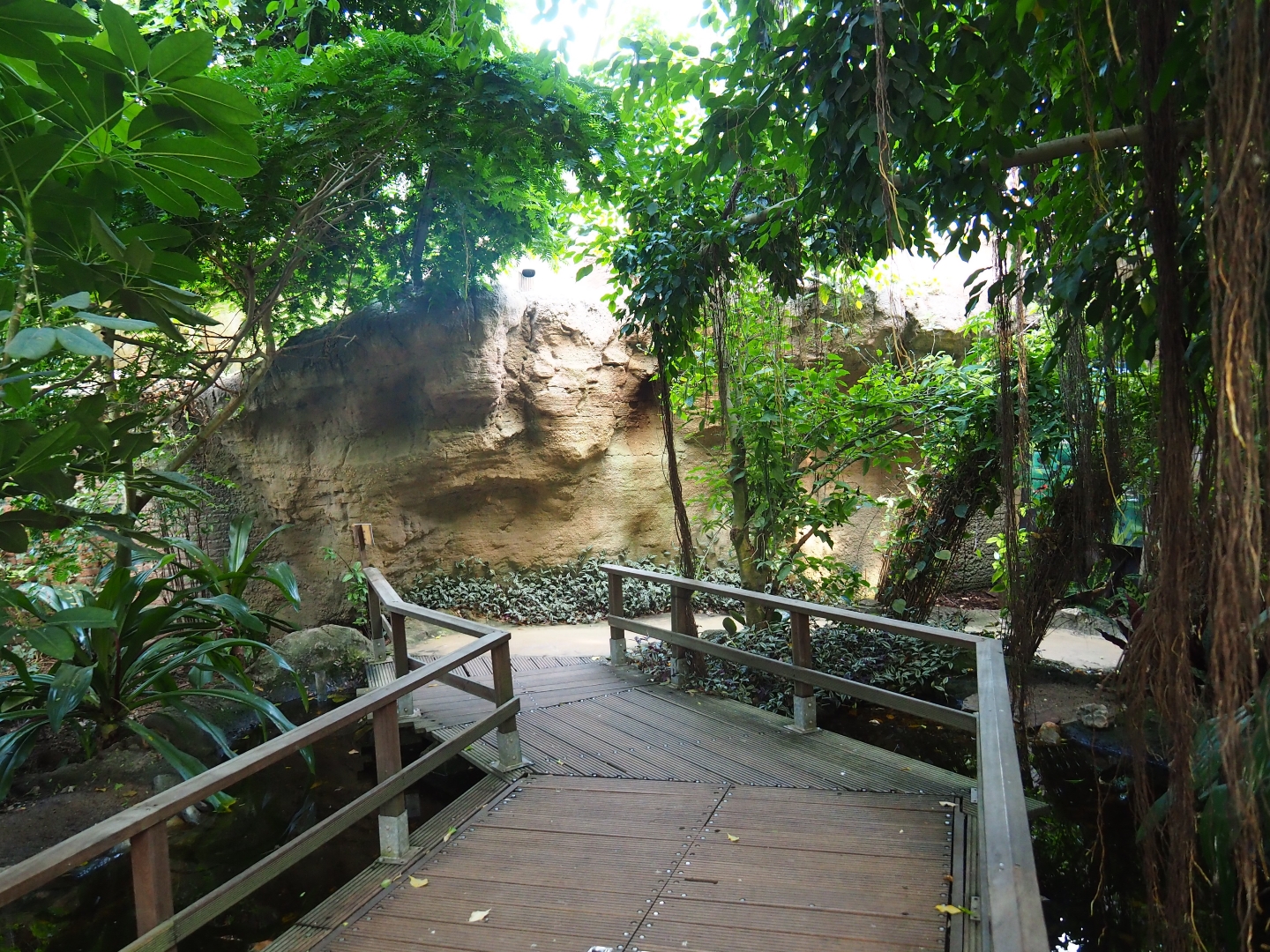 View in the Pantanal section of the tropical hall (Sep 2nd, 2018