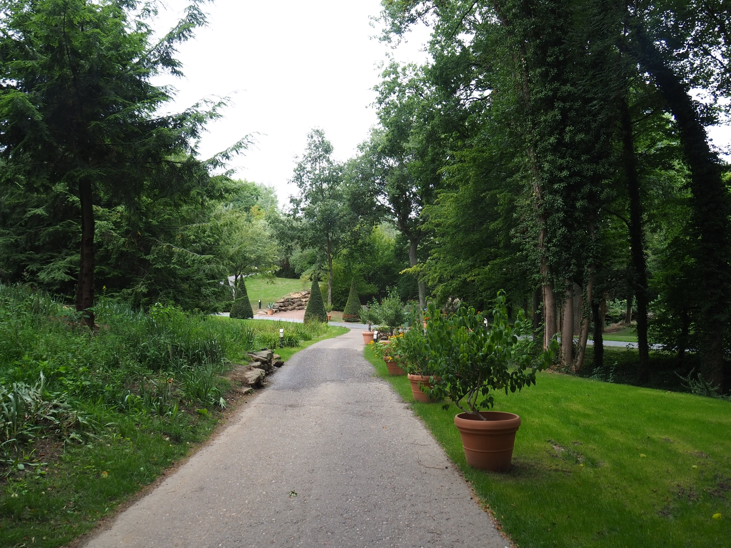 View in the park (Aug 28th, 2018)