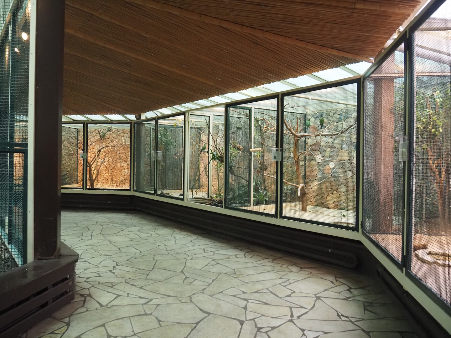 View in the parrot house, 2024-05-22