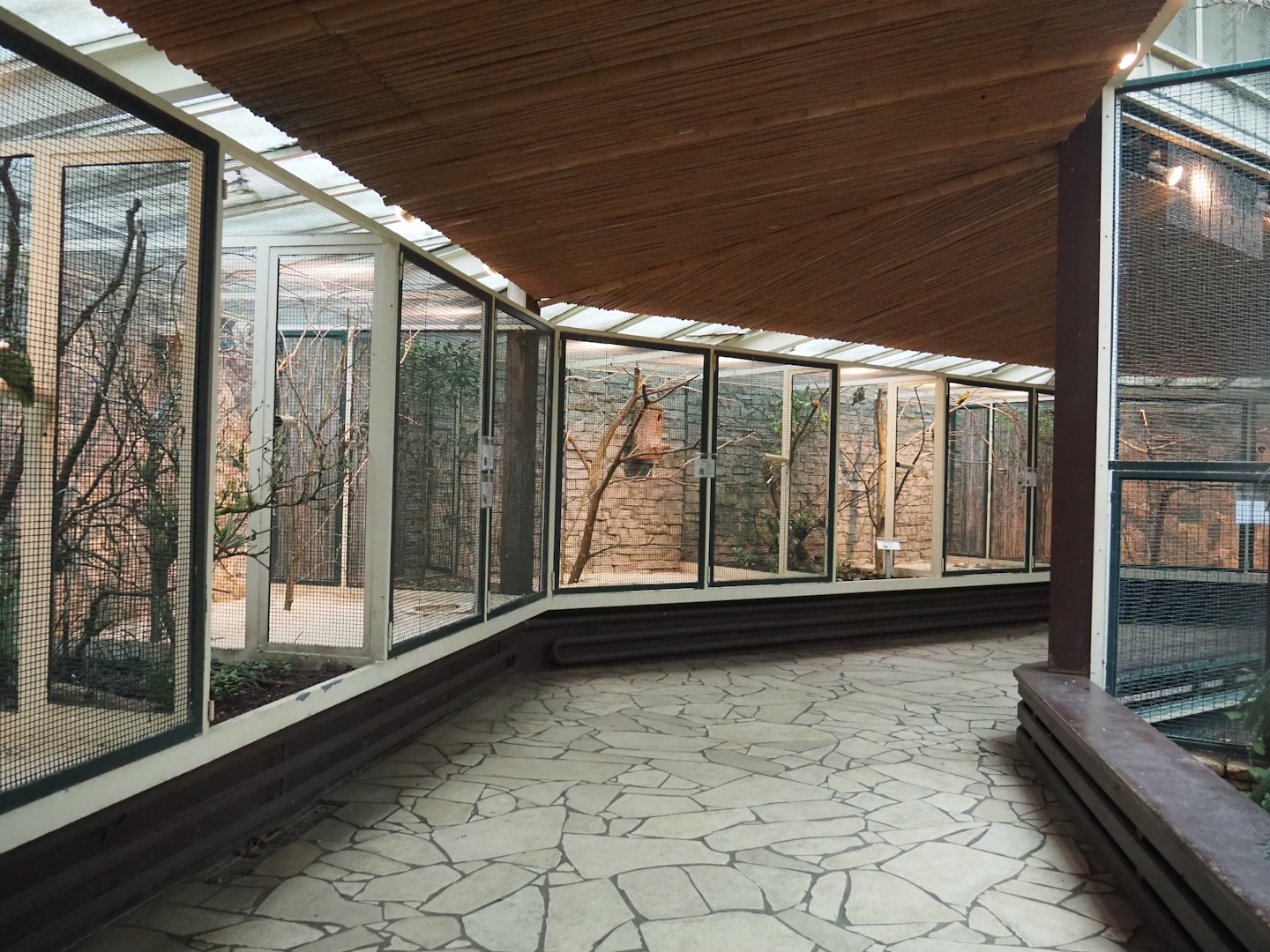 View in the parrot house, 2024-05-22