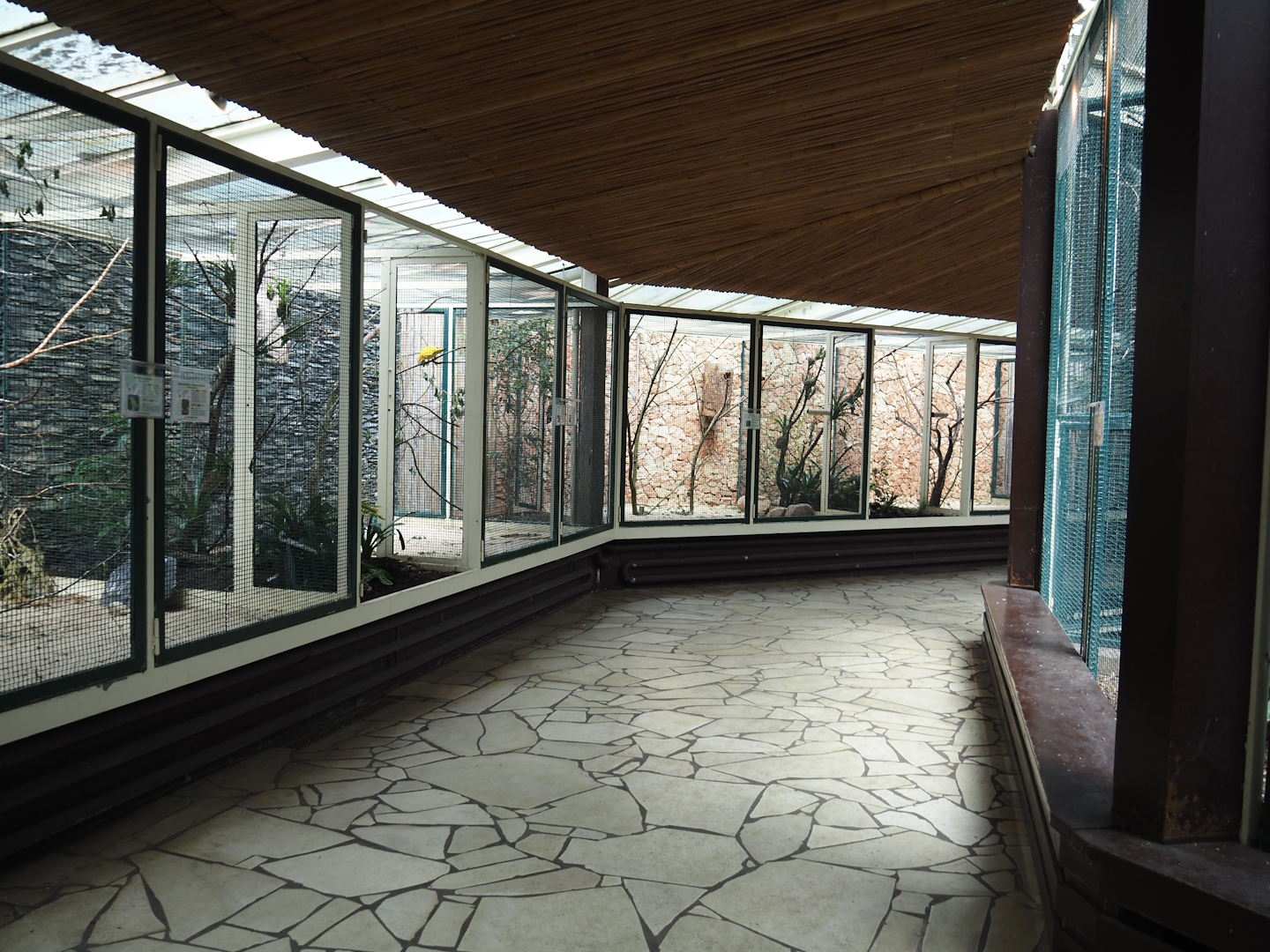 View in the parrot house, 2024-05-23