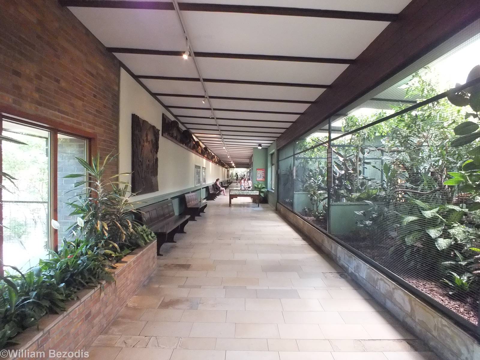 View in the Pheasantry