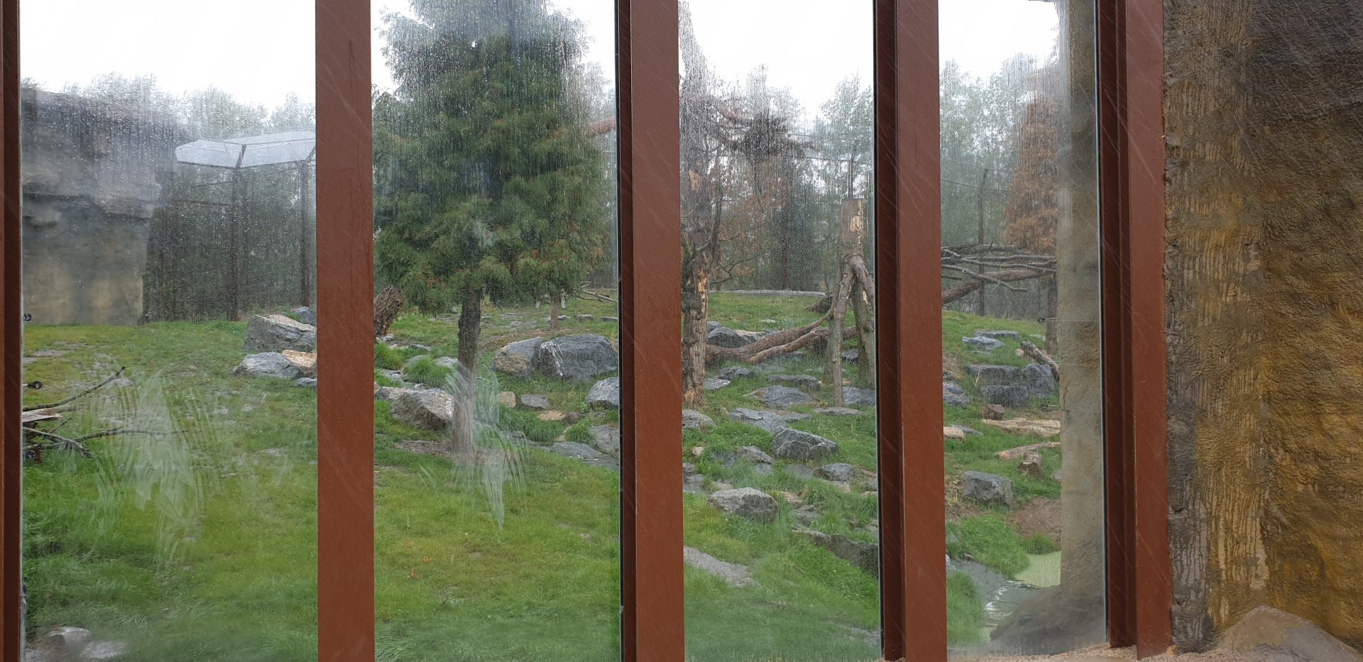 View in the Puma enclosure