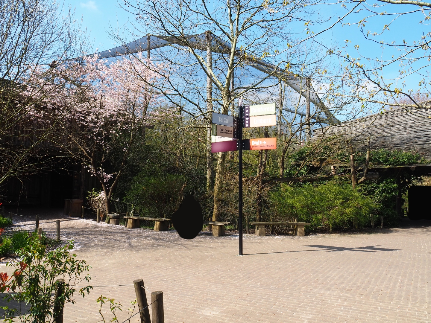 View in the rainforest - Amazonia area, 2019-03-30