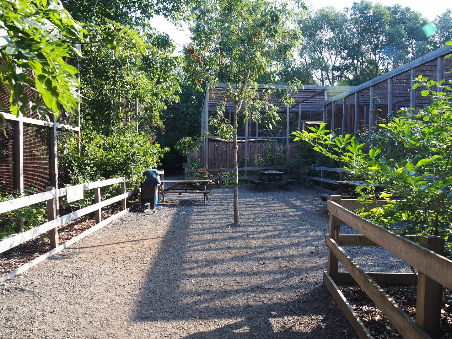 View in the raptor area, 2020-09-12