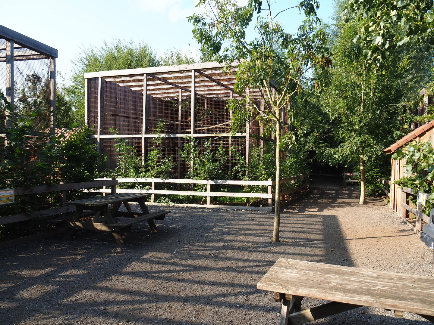 View in the raptor area, 2020-09-12