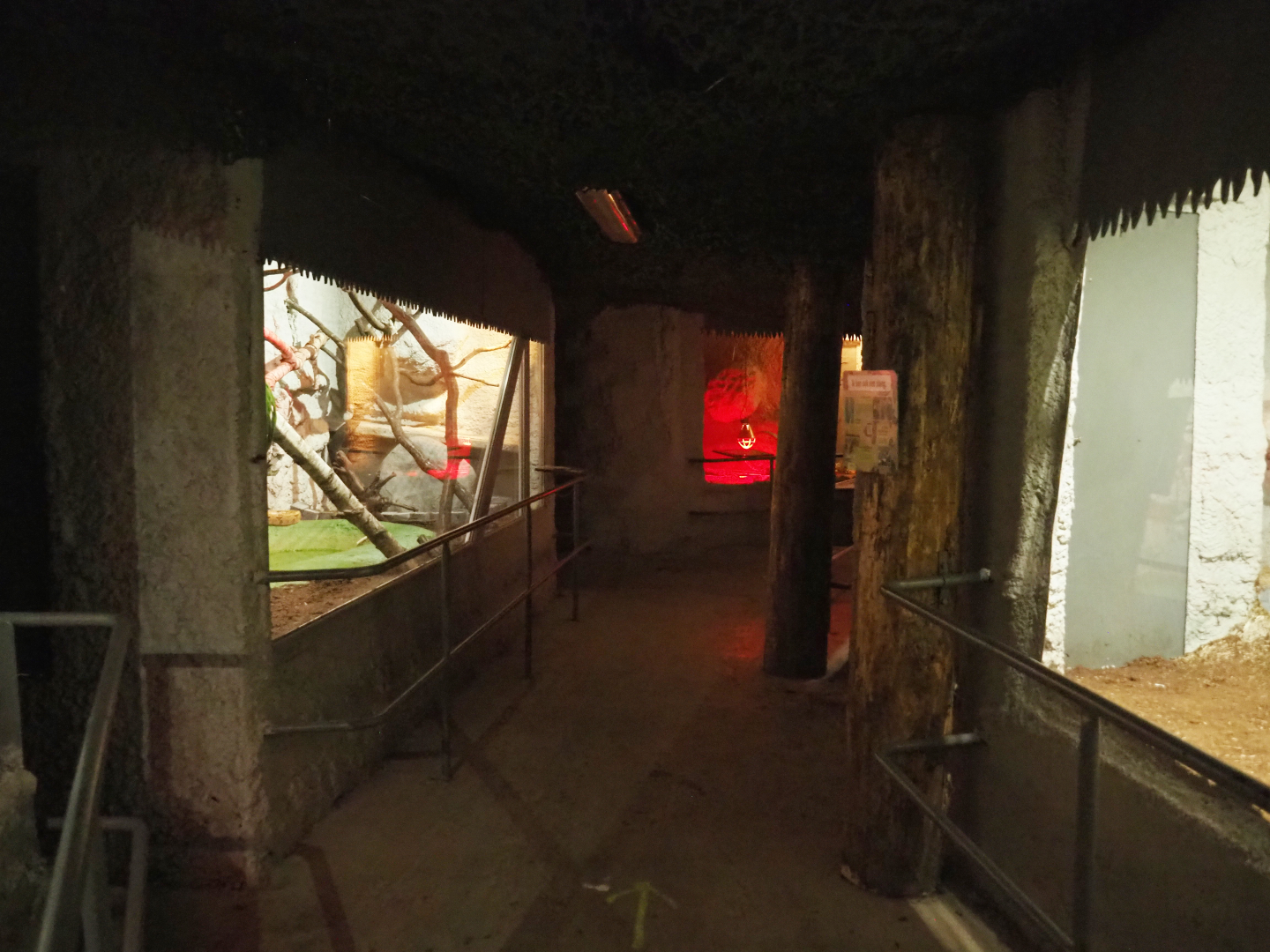View in the reptile corridor underneath the tropical hall, 2020-06-20