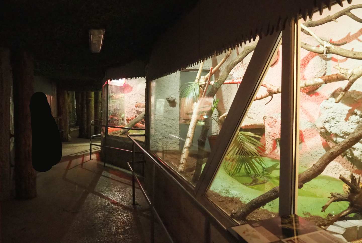 View in the reptile corridor underneath the tropical hall, 2020-06-20