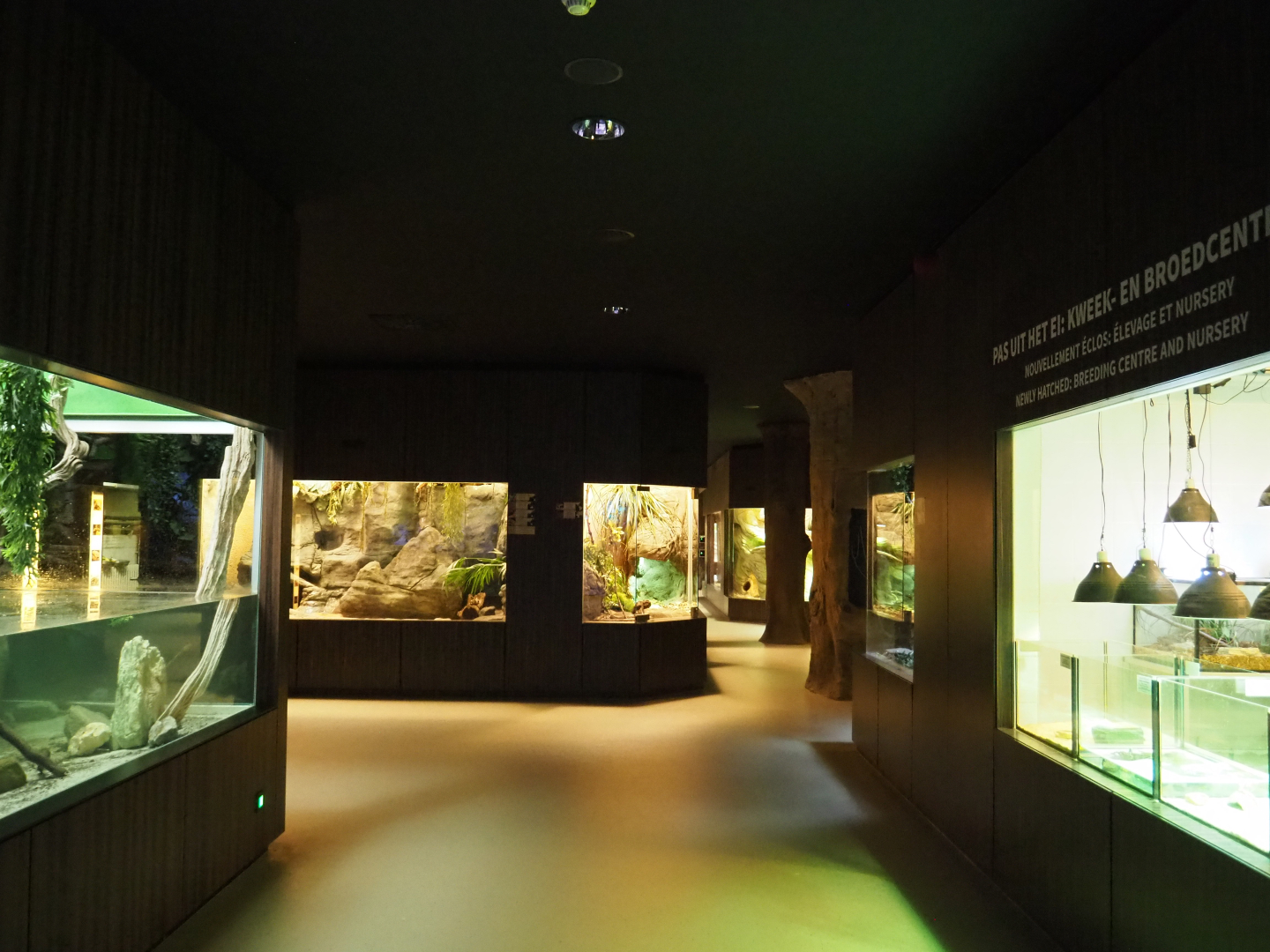 View in the Reptile house, 2020-06-28