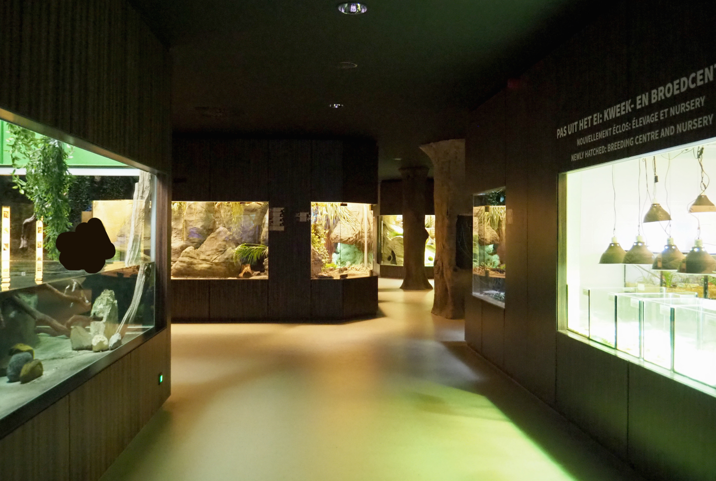 View in the reptile house, 2020-09-20